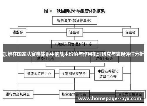 加维在国家队赛事体系中的战术价值与作用机理研究与表现评估分析